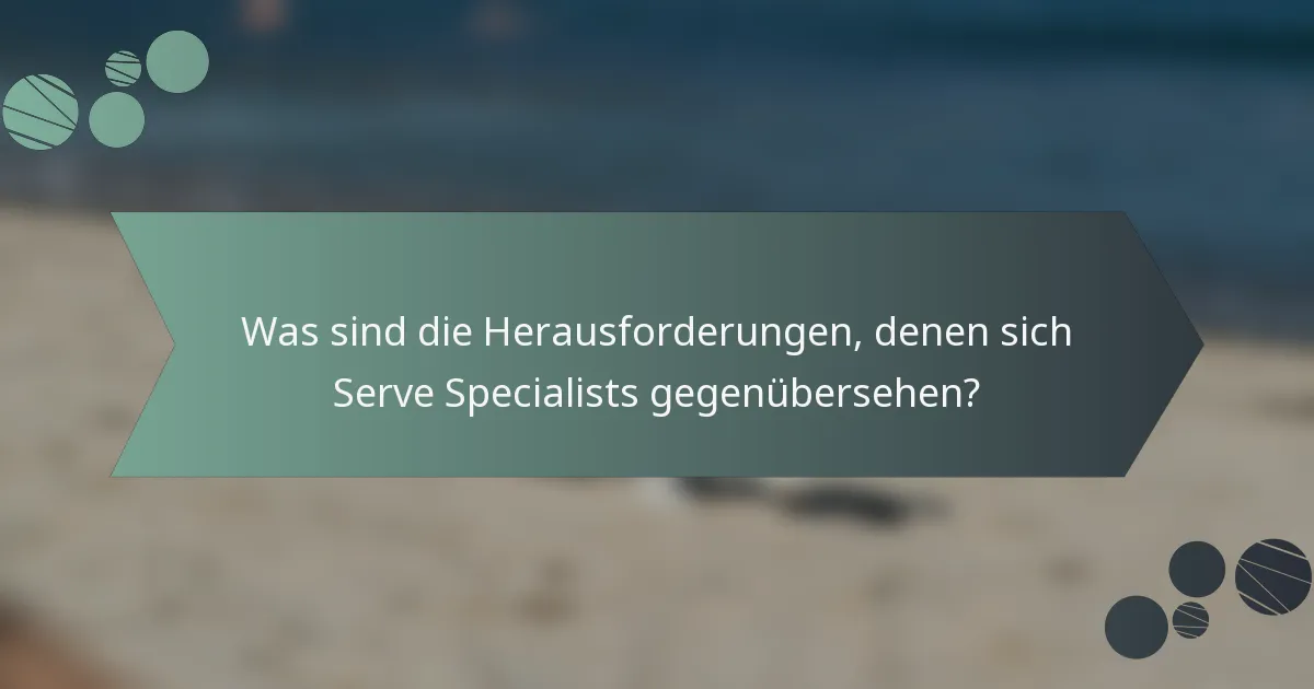 Was sind die Herausforderungen, denen sich Serve Specialists gegenübersehen?