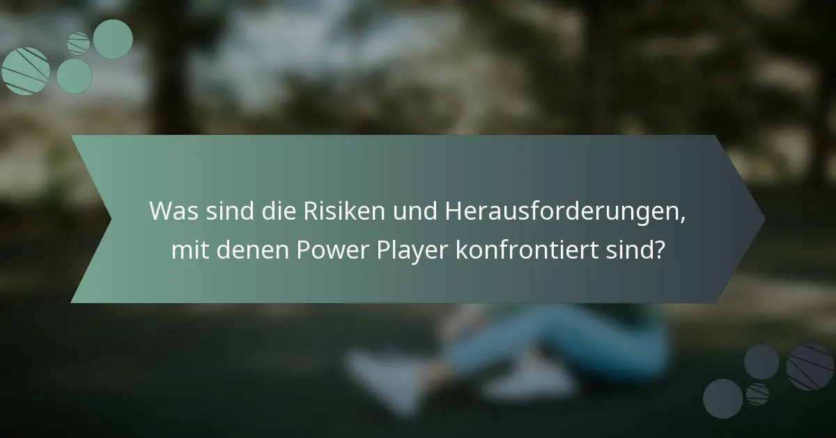 Was sind die Risiken und Herausforderungen, mit denen Power Player konfrontiert sind?