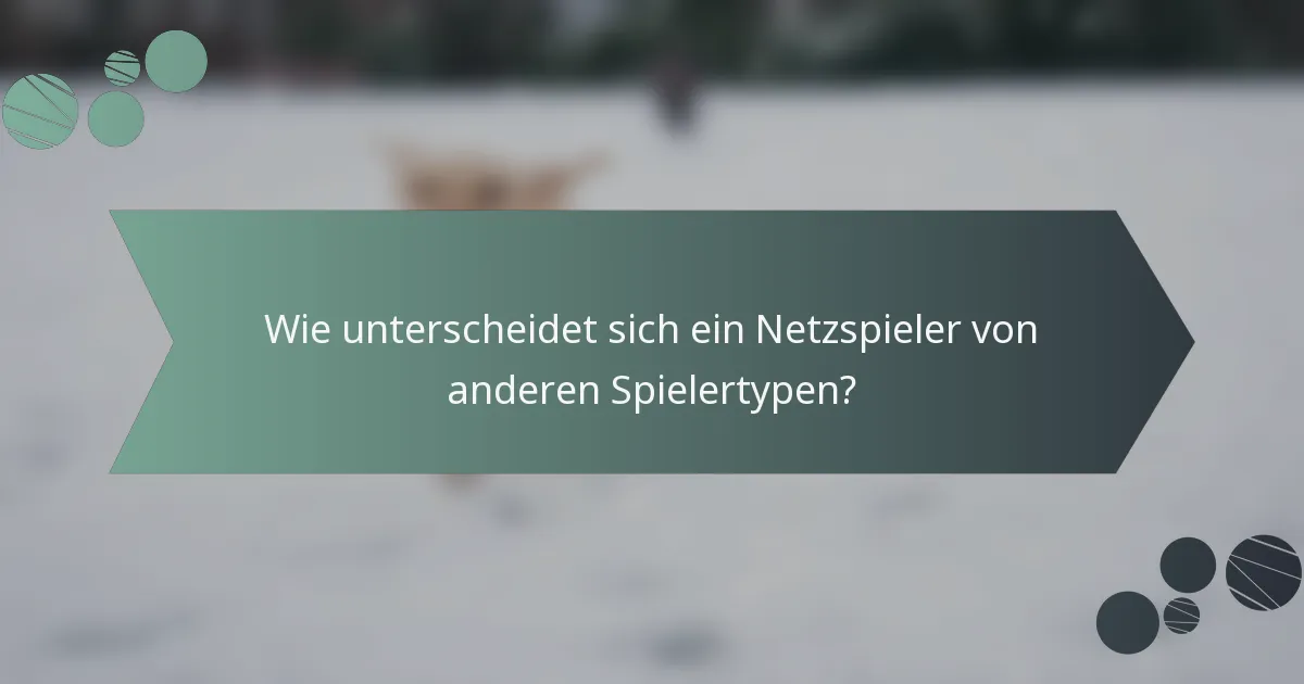 Wie unterscheidet sich ein Netzspieler von anderen Spielertypen?